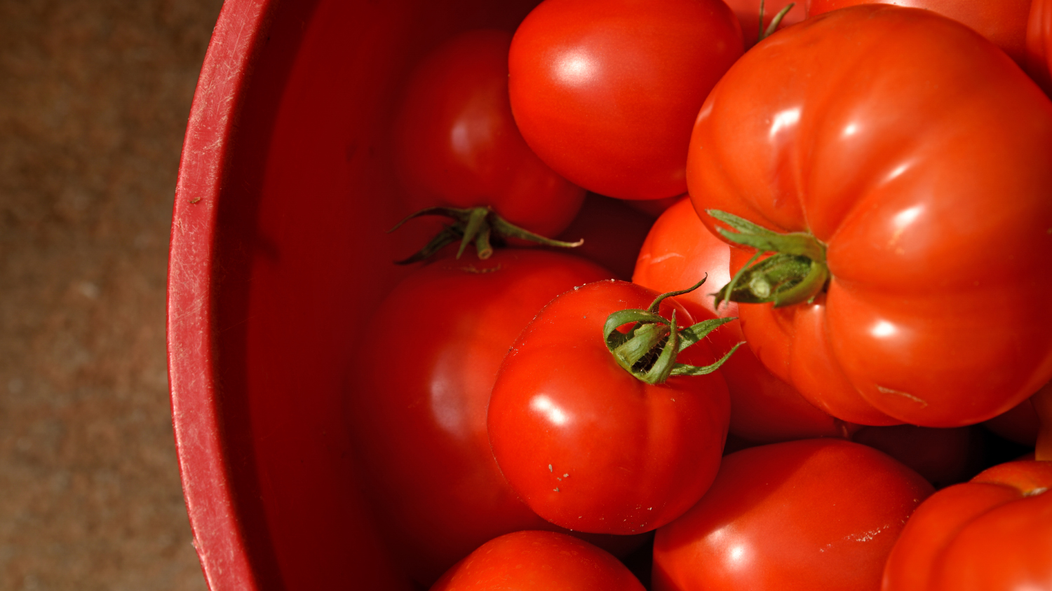 A textural photo of bright red tomatoes.
