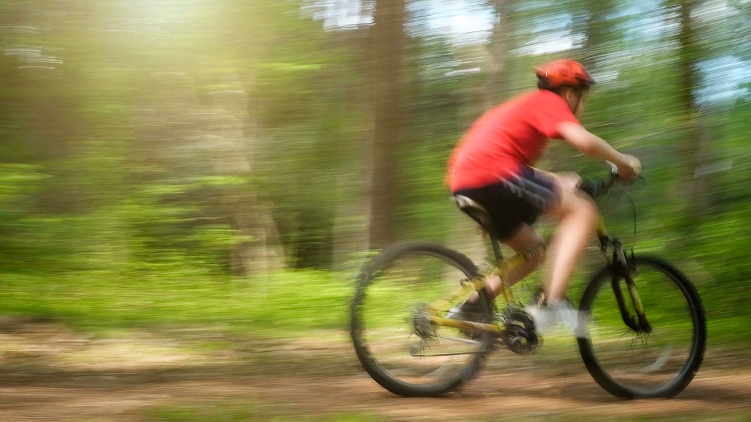 A young man bikes on a mountain bike trail in Lake Raleigh Woods.
