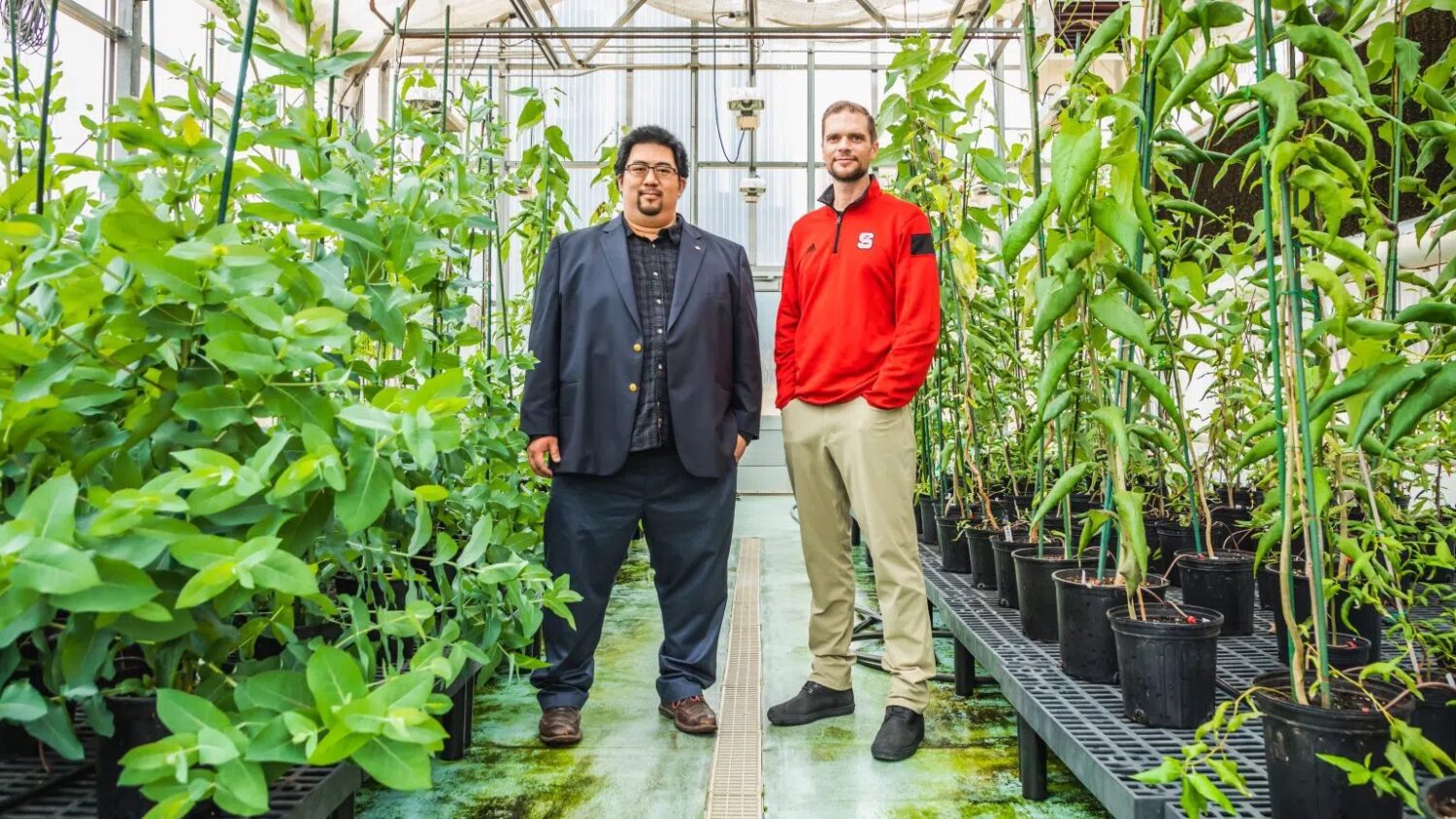 TreeCo founders stand in a greenhouse.