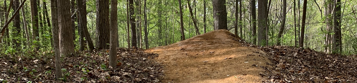 A dirt trail for mountain biking in Lake Raleigh Woods.