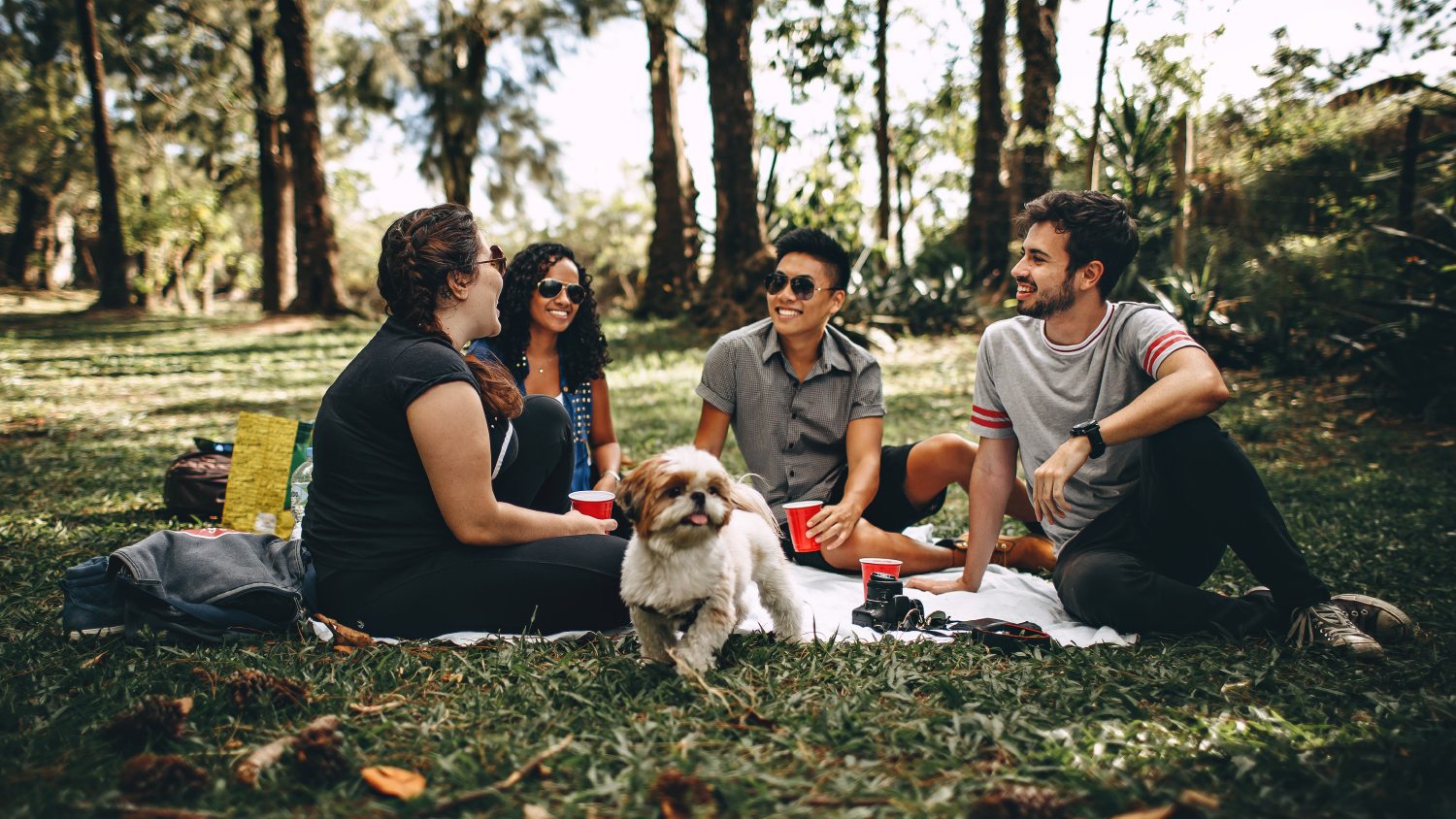 Friends enjoy a picnic in the woods.