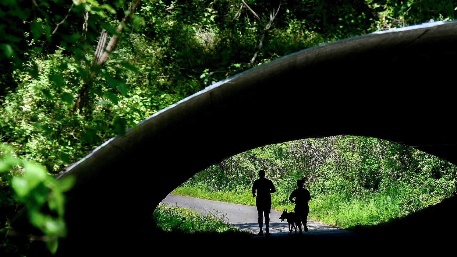 A couple runs with their dog along a greenway trail on Centennial Campus.